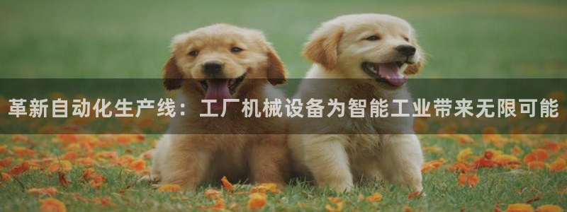 琳琅娱乐注册登录不了