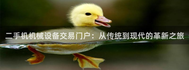 琳琅娱乐挂机