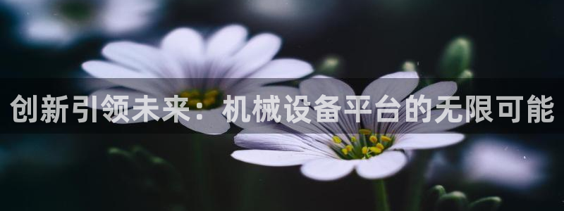 琳琅娱乐足球