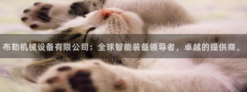 琳琅娱乐平台登陆