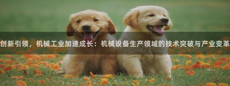 琳琅娱乐怎么样知乎