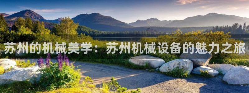 琳琅满目的娱乐设施