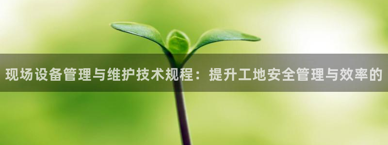 琳琅作者娱乐圈女主