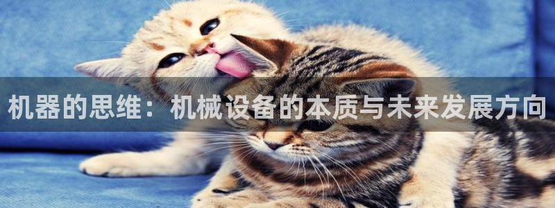 琳琅娱乐是什么