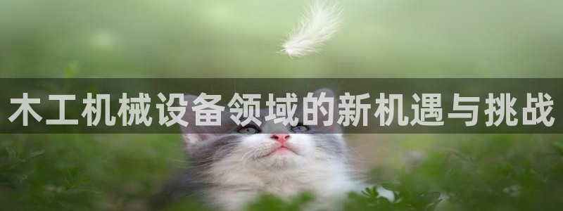 琳琅娱乐怎么样知乎