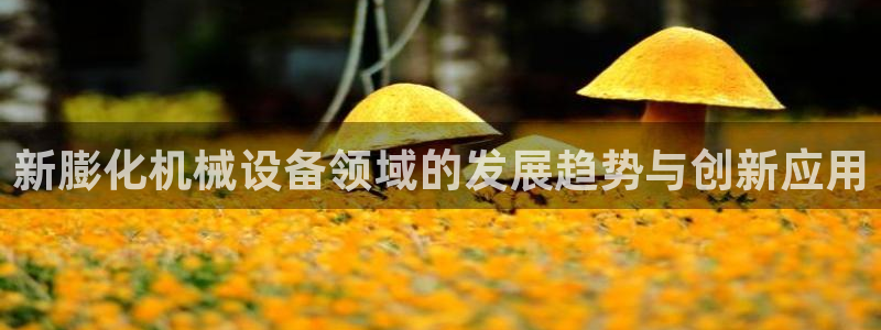 琳琅娱乐代理怎么做的