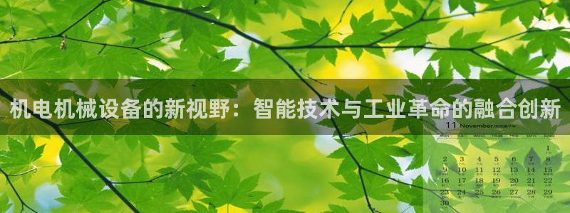 琳琅科技娱乐机器人插件