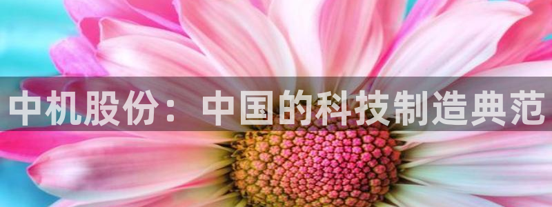 琳琅娱乐在哪直播的