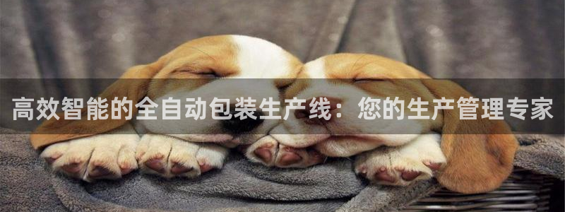 祖龙娱乐官网爱在琳琅