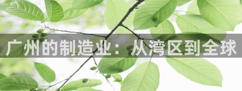 琳琅娱乐总代