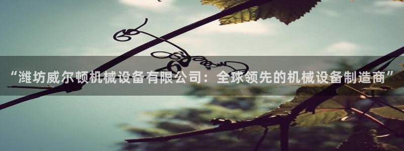 琳琅游戏娱乐