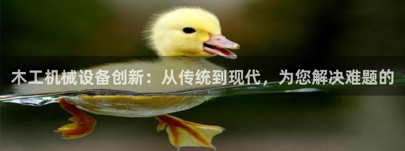 琳琅娱乐工作室招聘