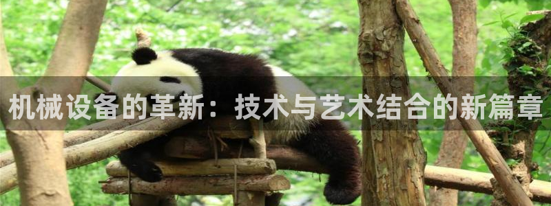 琳琅娱乐领先33300