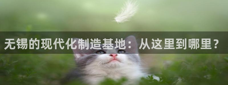 琳琅科技娱乐机器