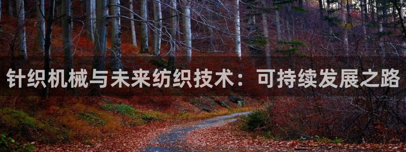琳琅娱乐总代
