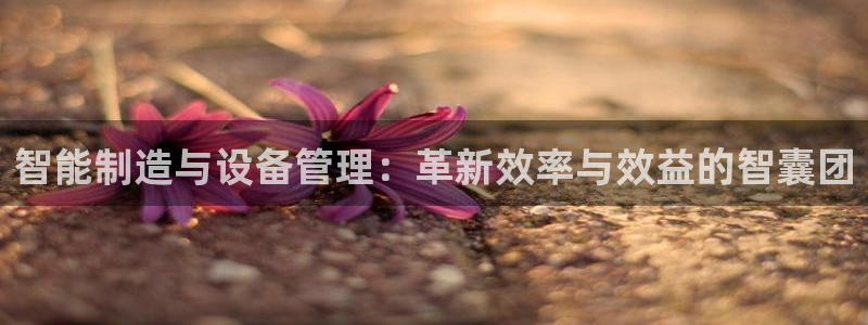 琳琅娱乐工作室