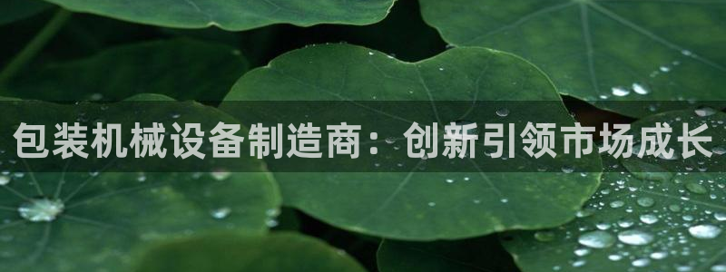 琳琅娱乐工作室