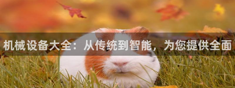 琳琅社区文艺娱乐