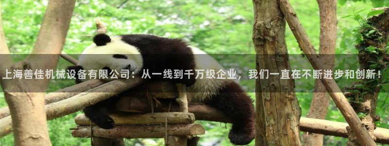 琳琅娱乐机器人