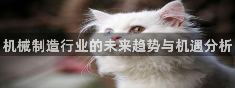 琳琅娱乐平台是真的吗