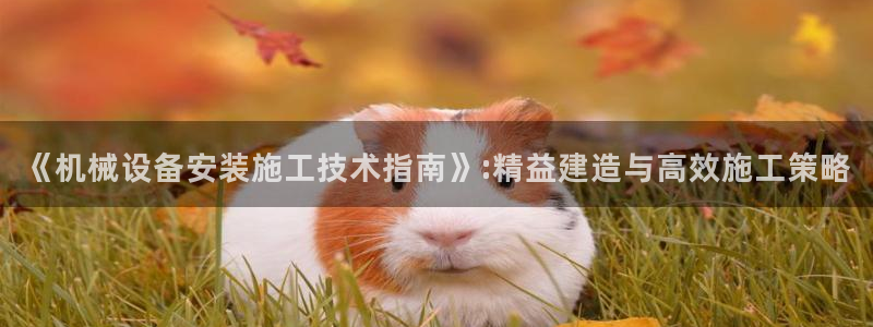 琳琅娱乐工作室怎么样啊