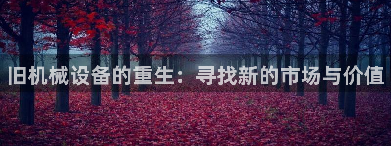 琳琅娱乐温柔乡网站