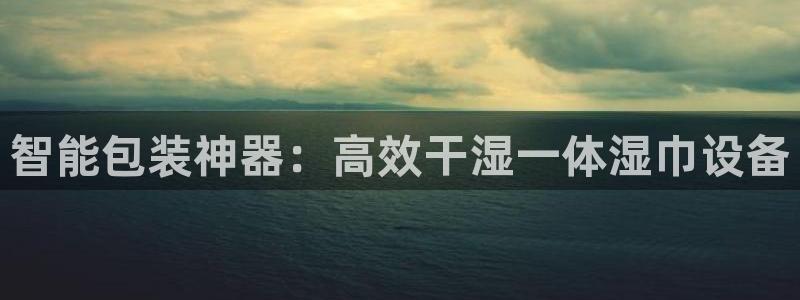 琳琅娱乐 全麦优质